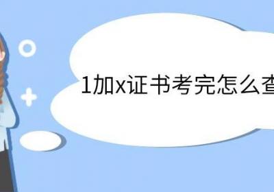 1加x证书考完怎么查成绩 1+x证书的作用