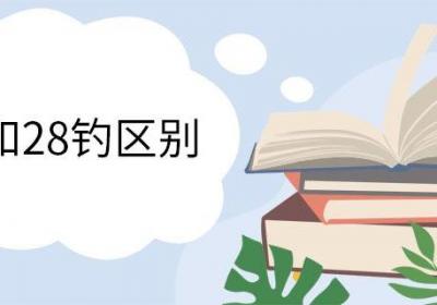 19钓和28钓区别 28调是几H鱼竿