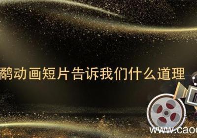 鹬动画短片告诉我们什么道理 鹬动画短片告诉我们啥道理