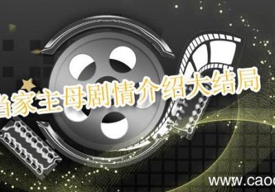 当家主母剧情介绍大结局 当家主母剧情介绍大结局沈翠喜