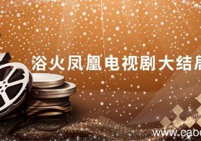 浴火凤凰电视剧大结局 电视剧火凤凰剧情介绍