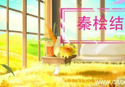 秦桧结局 秦桧结局是什么