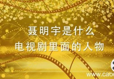 聂明宇是什么电视剧里面的人物 陈道明扮演的聂明宇是什么电视剧