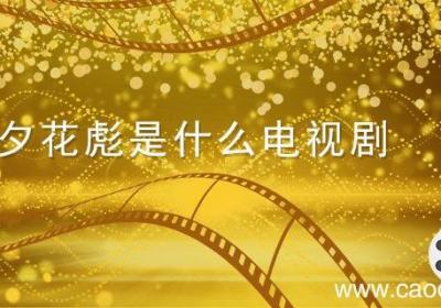 杨夕花彪是什么电视剧 杨夕和花彪是什么电视剧 花彪是什么电视剧什么的