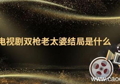 电视剧双枪老太婆结局是什么 双枪老太婆电视剧剧情介绍