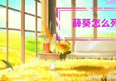 薛葵怎么死的 薛葵的死因是什么