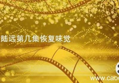 好先生陆远第几集恢复味觉 好先生陆远第几集恢复味觉是哪一集