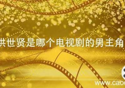 洪世贤是哪个电视剧的男主角 洪世贤是哪部电视剧