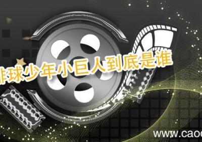 排球少年小巨人到底是谁 排球少年小巨人介绍