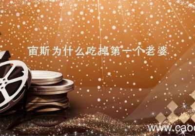 宙斯为什么吃掉第一个老婆 宙斯的第一任妻子