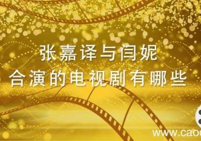 张嘉译与闫妮合演的电视剧有哪些 张嘉译和闫妮合作的电视剧有哪些