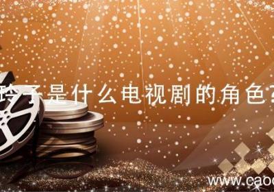 玲子是什么电视剧的角色? 女主叫玲子的电视剧