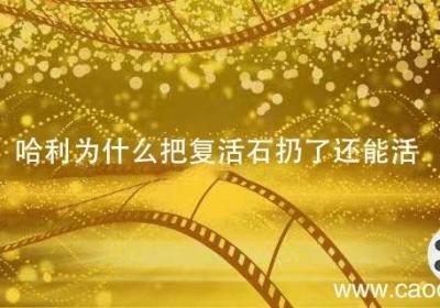 哈利为什么把复活石扔了还能活 哈利为什么把复活石扔了还没死
