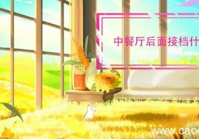 中餐厅后面接档什么节目 中餐厅哪个台播出