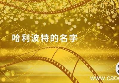 哈利波特的名字 哈利波特的名字是什么