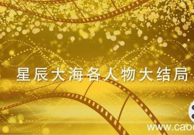 星辰大海各人物大结局 星辰大海各人物大结局简介