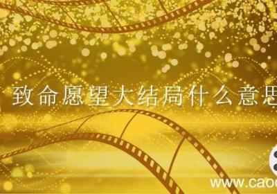 致命愿望大结局什么意思 致命愿望的剧情是什么