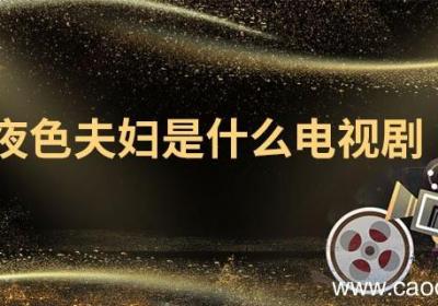 夜色夫妇是什么电视剧 夜色夫妇的由来