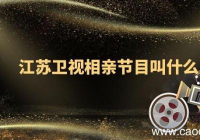 江苏卫视相亲节目叫什么 江苏卫视相亲节目是什么