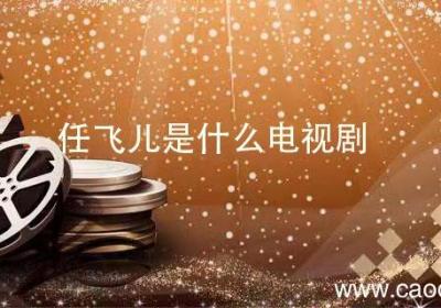 任飞儿是什么电视剧 董洁演的任飞儿是什么电视剧