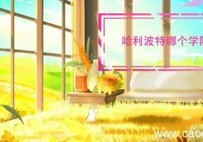 哈利波特哪个学院的 哈利波特是哪个学院的学生