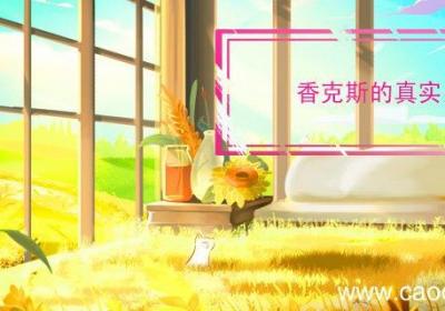 香克斯的真实身份 香克斯到底什么身份