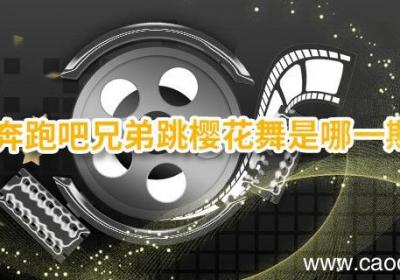 奔跑吧兄弟跳樱花舞是哪一期 奔跑吧兄弟是什么类型的节目
