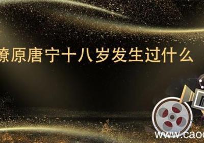 燎原唐宁十八岁发生过什么 燎原唐宁十八岁发生了什么