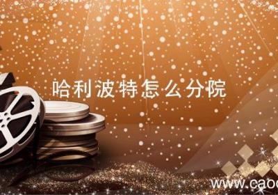 哈利波特怎么分院 哈利波特怎么分院测试