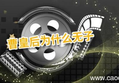 曹皇后为什么无子 宋仁宗曹皇后为什么无子