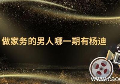 做家务的男人哪一期有杨迪 做家务的男人是什么电视