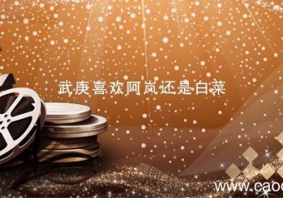 武庚喜欢阿岚还是白菜 武庚喜欢谁