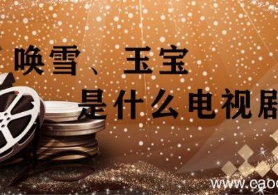 唤雪玉宝是什么电视剧 宝玉电视剧叫什么