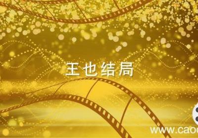 王也结局 王也结局是什么
