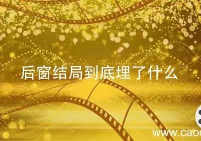 后窗结局到底埋了什么 后窗 结局