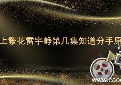 海上繁花雷宇峥第几集知道分手原因 海上繁花雷宇峥知道分手原因是第几集