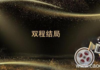 双程结局 双程结局剧情