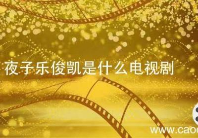夜子乐俊凯是什么电视剧 乐俊凯是哪部电视剧