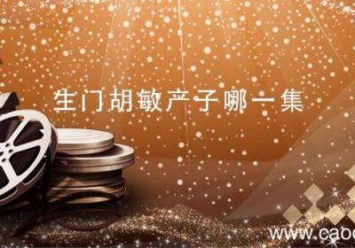 生门胡敏产子哪一集 生门胡敏产子是第几集