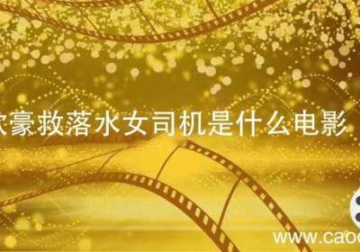欧豪救落水女司机是什么电影 欧豪下水救人电影