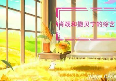 肖战和撒贝宁的综艺节目叫什么 肖战和撒贝宁的综艺节目叫什么第几期