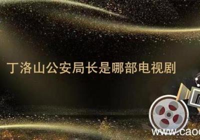 丁洛山公安局长是哪部电视剧 丁洛山公安局长电视剧