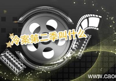 冷案第二季叫什么 冷案有第二部吗