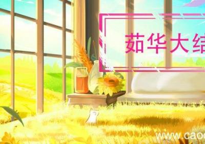 茹华大结局 茹华是什么电视剧的人