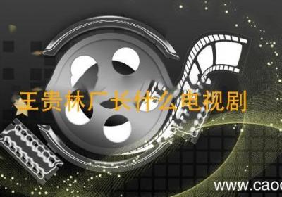 王贵林厂长什么电视剧 王贵林厂长是什么电视剧里的人物