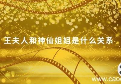 王夫人和神仙姐姐是什么关系 天龙八部中王夫人和神仙姐姐什么关系