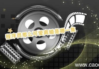 程序员那么可爱离婚是哪一集 程序员那么可爱离婚第几集