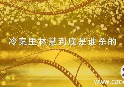 冷案里林慧到底是谁杀的 冷案电视剧中林慧有没有死