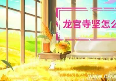 龙宫寺坚怎么死的 东京复仇者龙宫寺坚怎么死的