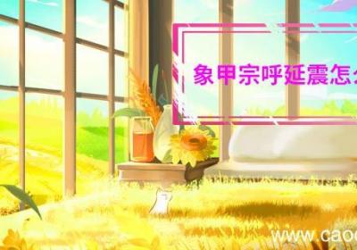 象甲宗呼延震怎么死的 象甲宗呼延震是怎么样死的